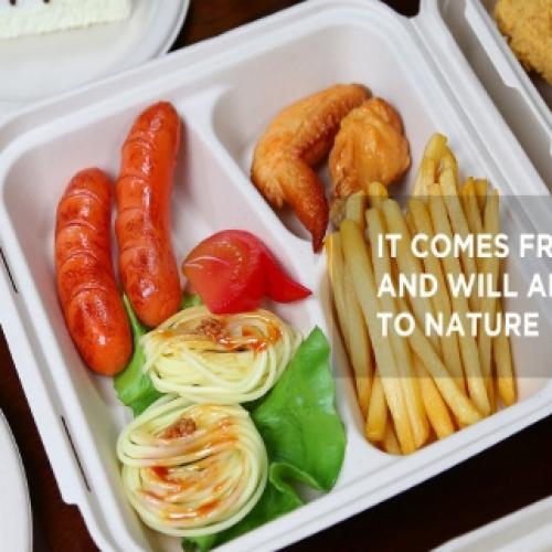 Advantages of bagasse plates