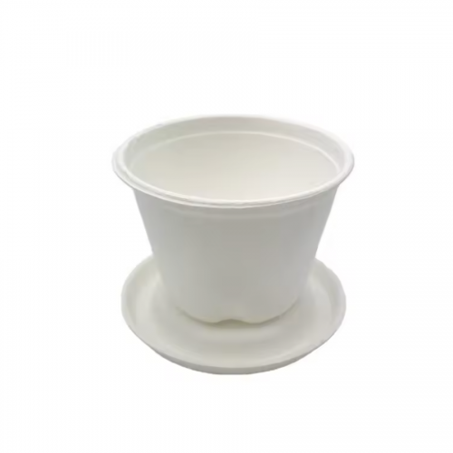 3 oz Cup Bagasse   