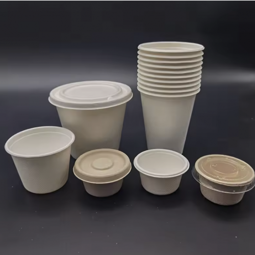 6 oz Cup Bagasse 