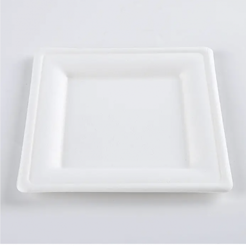 6in Bagasse Square Plate  