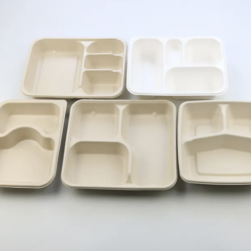 5 compartments Tray Bagasse  