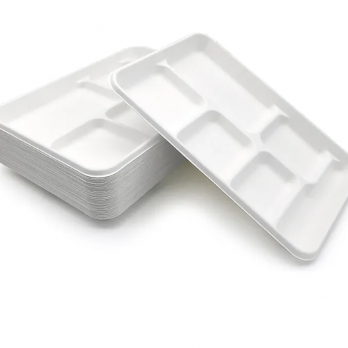 6 compartments Tray Bagasse    